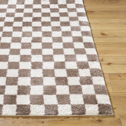 Surya Fossay Shag FSG-2328 2' x 2'11" Rug