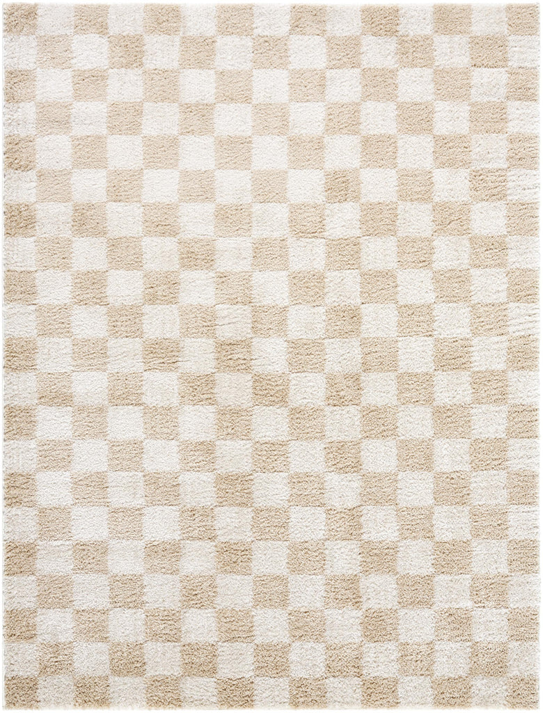 Surya Fossay Shag FSG-2329 5'3" x 7' Rug