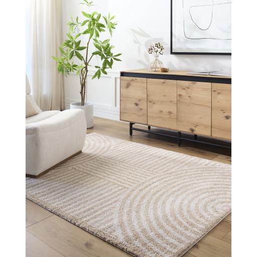 Surya Fossay Shag FSG-2332 2' x 2'11" Rug