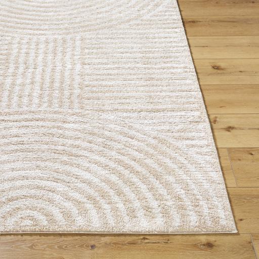 Surya Fossay Shag FSG-2332 2' x 2'11" Rug