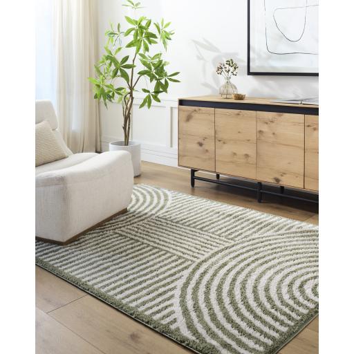 Surya Fossay Shag FSG-2333 2' x 2'11" Rug