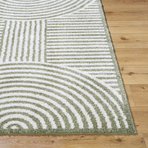 Surya Fossay Shag FSG-2333 2' x 2'11" Rug