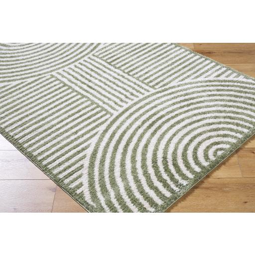 Surya Fossay Shag FSG-2333 2' x 2'11" Rug