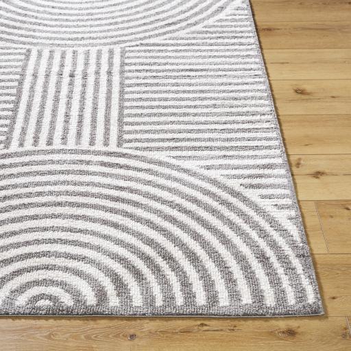 Surya Fossay Shag FSG-2334 2' x 2'11" Rug