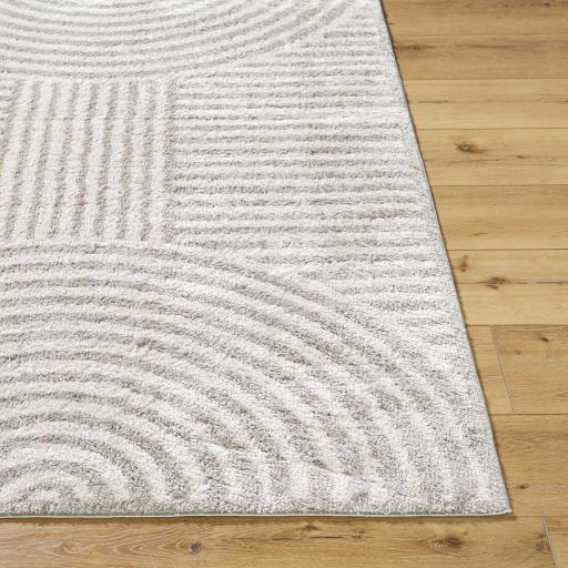 Surya Fossay Shag FSG-2335 2'7" x 7'3" Rug