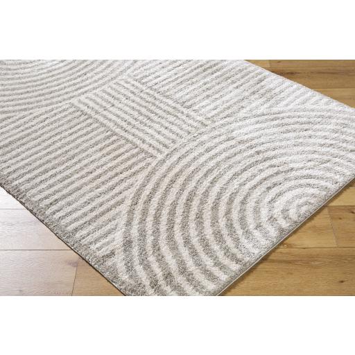 Surya Fossay Shag FSG-2335 2'7" x 7'3" Rug