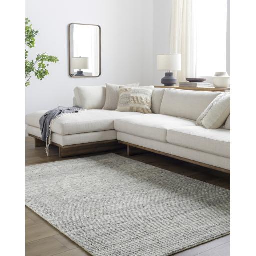 Surya Japandi JPD-2300 2' x 3' Rug