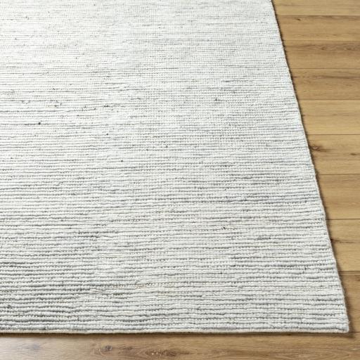 Surya Japandi JPD-2301 10' x 14' Rug