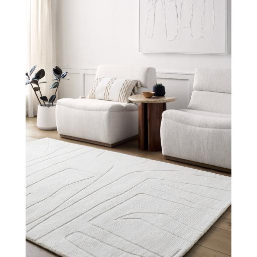 Surya Mystique M-5484 2' x 3' Rug