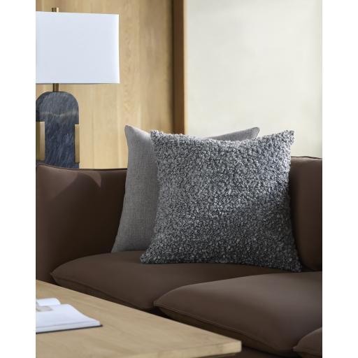 Surya Mohave MHV-001 20"H x 20"W Pillow Cover