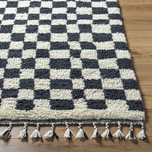 Surya Mirela MMI-2301 2' x 3' Rug