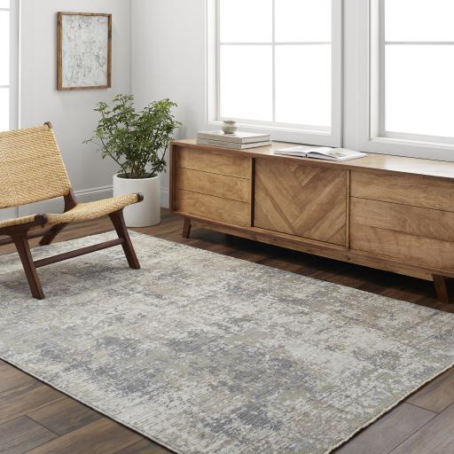 Surya Presidential PDT-2331 3'3" x 5' Rug