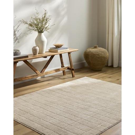 Surya Cascade PNWCS-2304 10' x 14' Rug