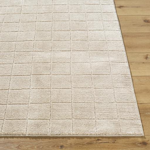 Surya Cascade PNWCS-2304 10' x 14' Rug