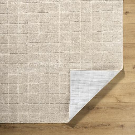 Surya Cascade PNWCS-2304 10' x 14' Rug