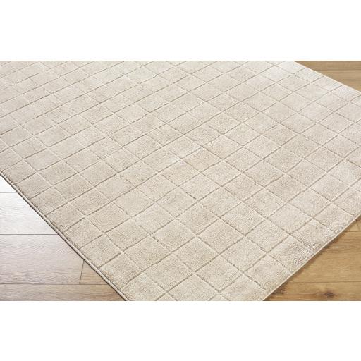 Surya Cascade PNWCS-2304 10' x 14' Rug