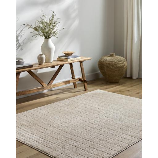 Surya Cascade PNWCS-2306 10' x 14' Rug