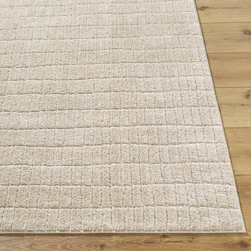 Surya Cascade PNWCS-2306 10' x 14' Rug