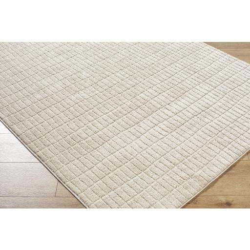 Surya Cascade PNWCS-2306 10' x 14' Rug