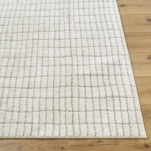 Surya Cascade PNWCS-2307 10' x 14' Rug