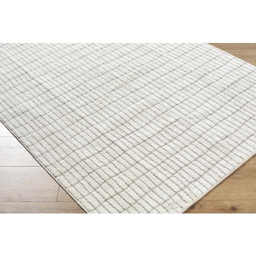 Surya Cascade PNWCS-2307 10' x 14' Rug