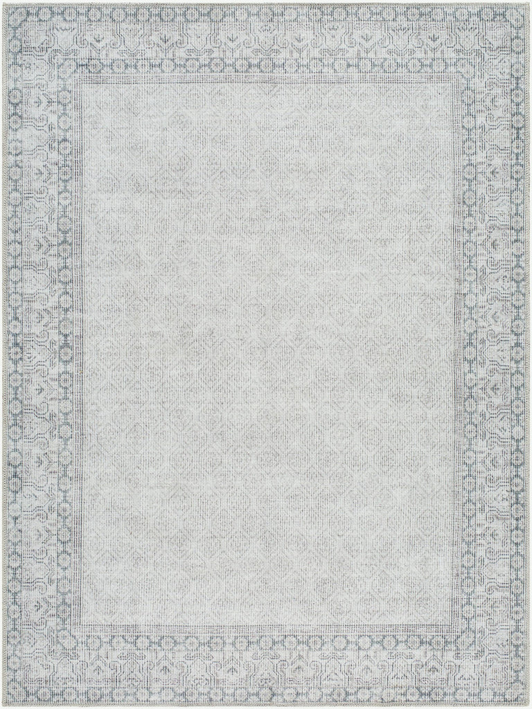 Surya Rainier PNWRN-2308 10' x 14' Rug