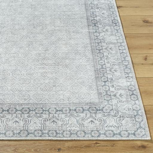 Surya Rainier PNWRN-2308 10' x 14' Rug