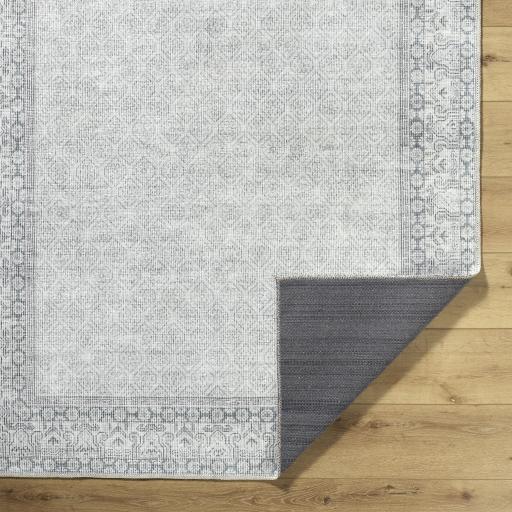 Surya Rainier PNWRN-2308 10' x 14' Rug