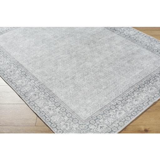 Surya Rainier PNWRN-2308 10' x 14' Rug