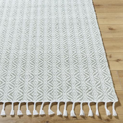 Surya Peony PON-2301 2' x 3' Rug