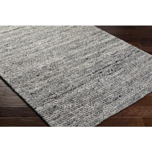 Surya Palisade PSD-2302 2' x 3' Rug