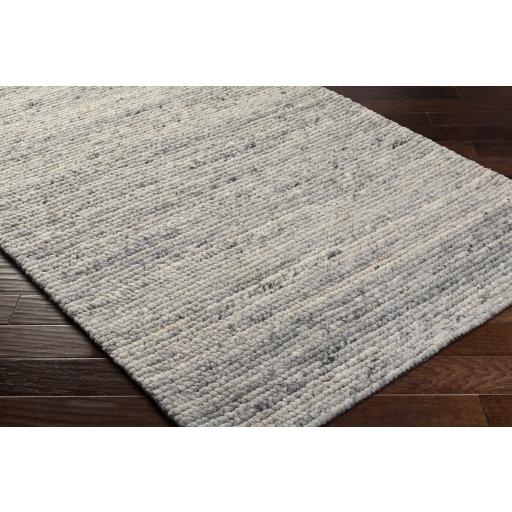 Surya Palisade PSD-2303 2' x 3' Rug