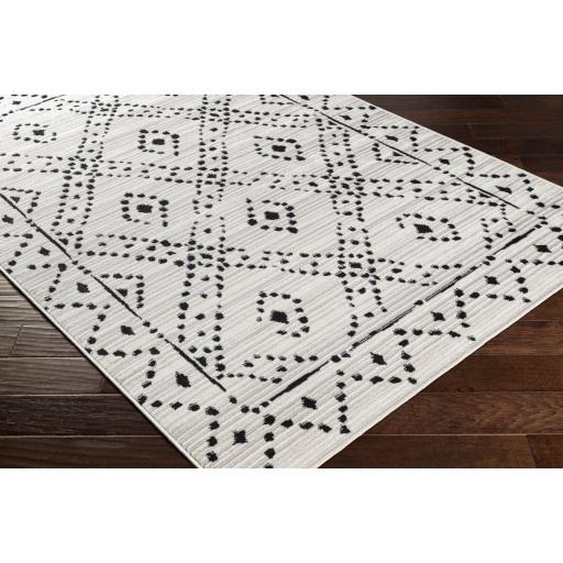 Surya Pisa PSS-2327 4'11" x 7' Rug