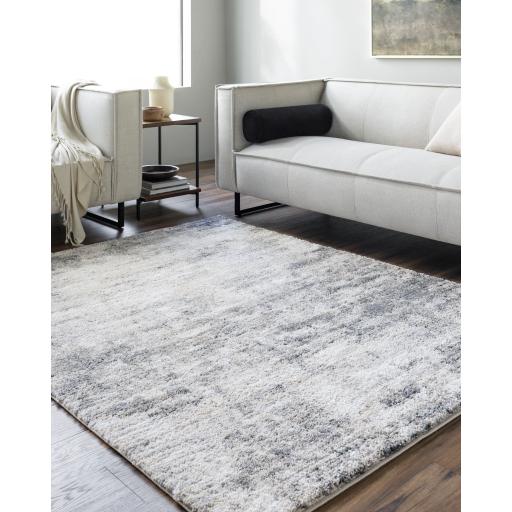 Surya Portofino PTF-2320 6'7" x 9' Rug