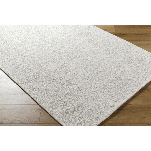 Surya Rize RZE-2308 2' x 3' Rug