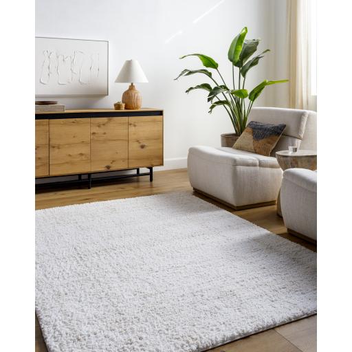 Surya Sacramento Shag SCS-2300 7'10" x 10' Rug