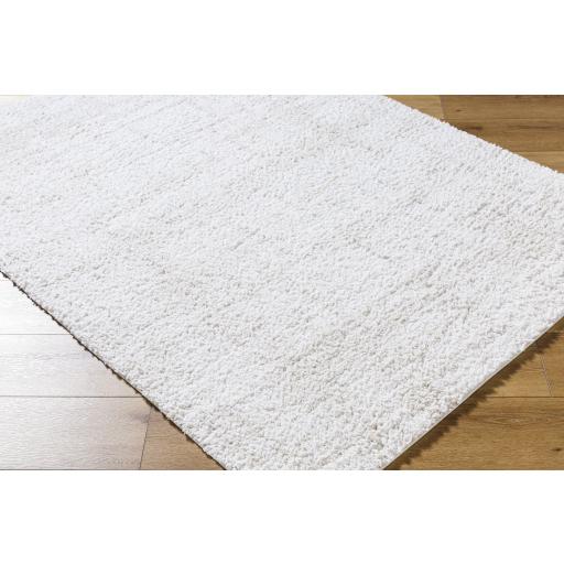 Surya Sacramento Shag SCS-2300 7'10" x 10' Rug