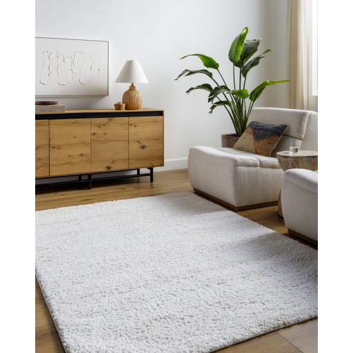 Surya Sacramento Shag SCS-2301 7'10" x 10' Rug