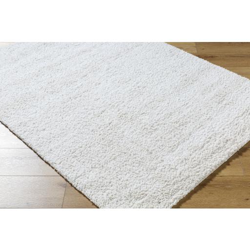 Surya Sacramento Shag SCS-2301 7'10" x 10' Rug