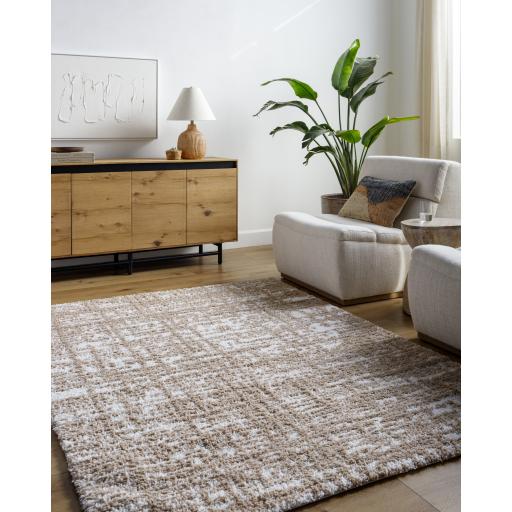 Surya Sacramento Shag SCS-2305 5'3" x 7' Rug