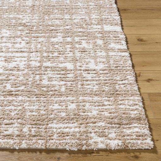 Surya Sacramento Shag SCS-2305 5'3" x 7' Rug