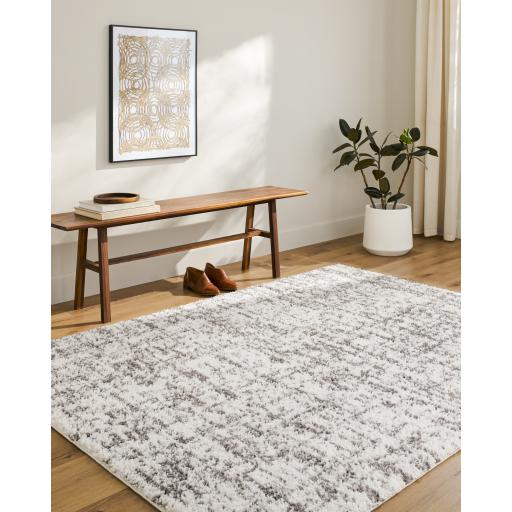 Surya Sacramento Shag SCS-2306 5'3" x 7' Rug