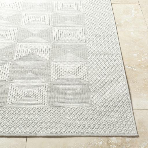 Surya Sandra SDR-2307 5'3" x 7' Rug