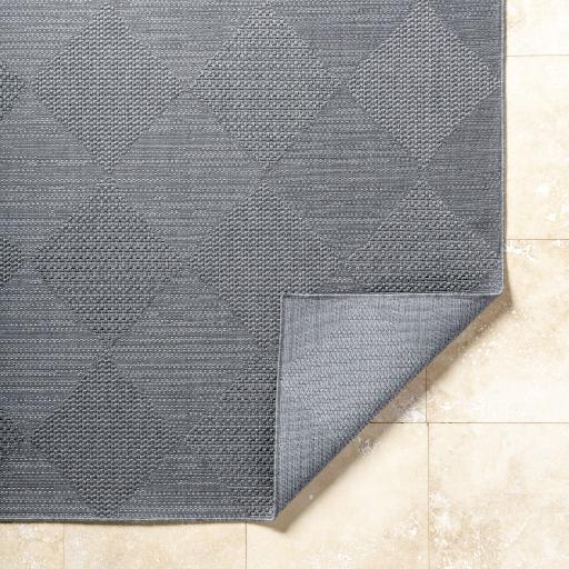 Surya Sandra SDR-2312 6'7" x 9' Rug