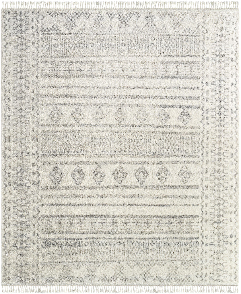 Surya Tulsa TLS-2303 2' x 3' Rug