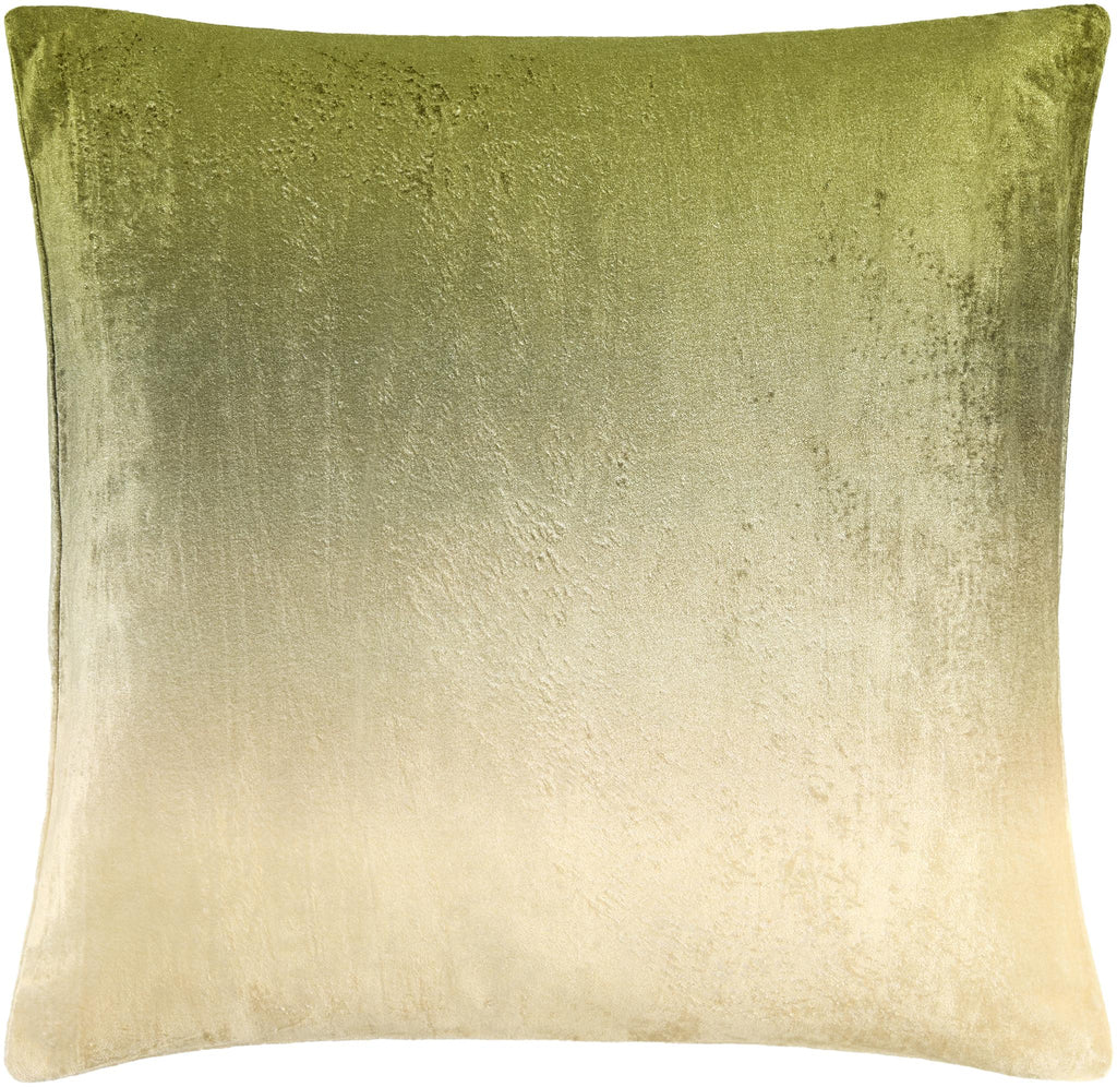 Surya Theodosia TOD-008 18"H x 18"W Pillow Cover