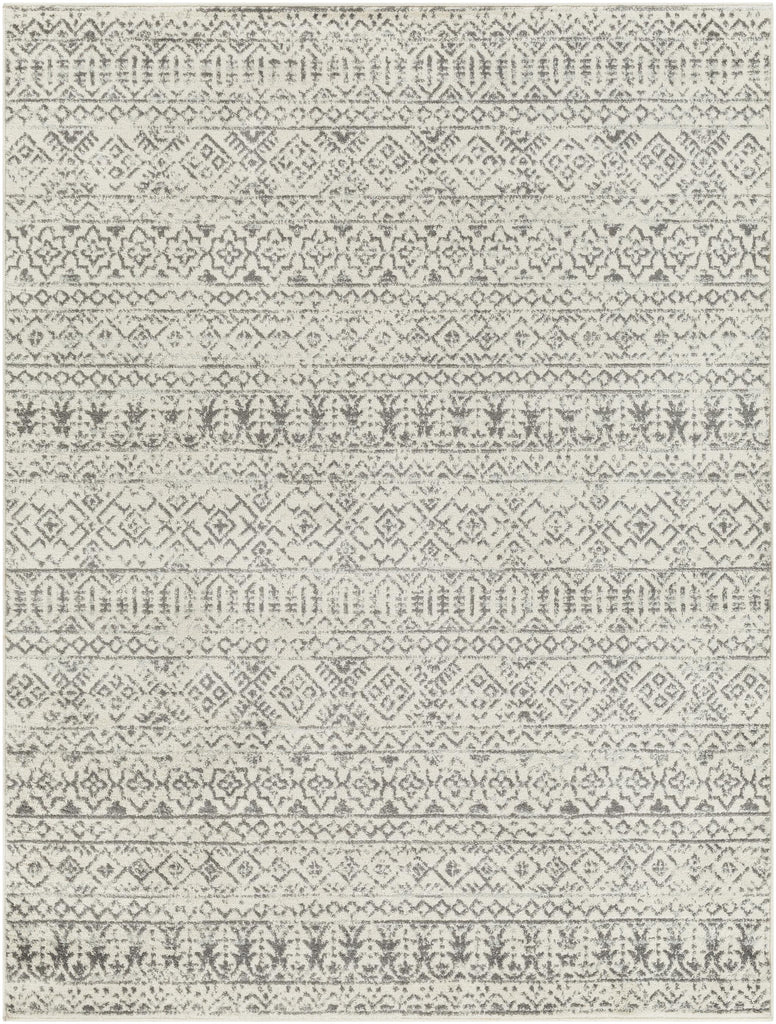 Surya Tevazu TVZ-2379 9' x 12' Rug