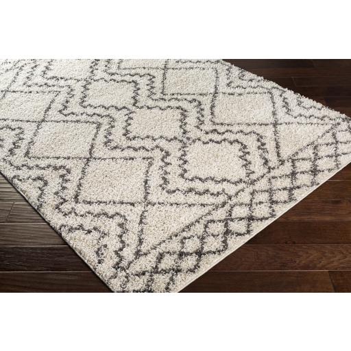 Surya Taza Shag TZS-2305 5'2" x 7' Rug