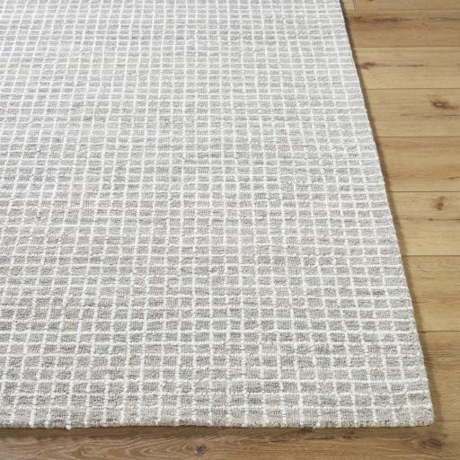 Surya Andreas VVAN-2302 2' x 3' Rug