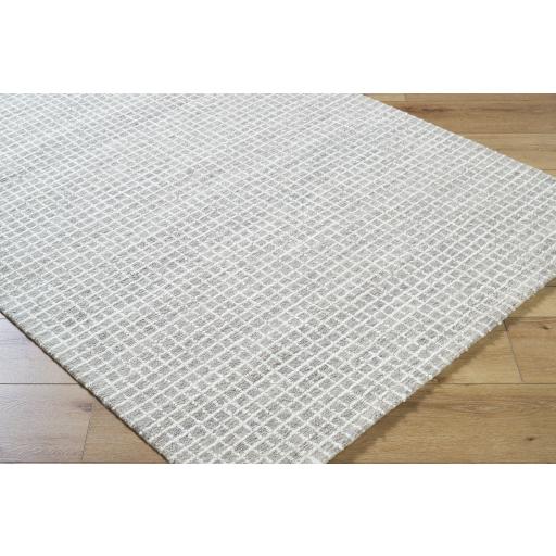 Surya Andreas VVAN-2302 2' x 3' Rug